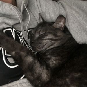 Meet your Posher, Christina